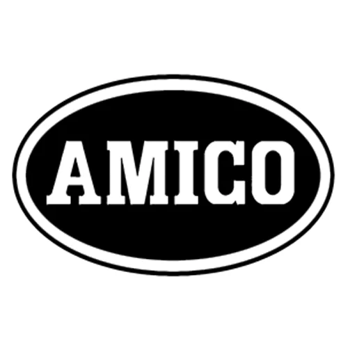 amico logo